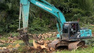 ซอยบางเหมือนกล้วยฉาบเลย KOBELCO SK200-8 สับต้นปาล์ม เร็วแรง