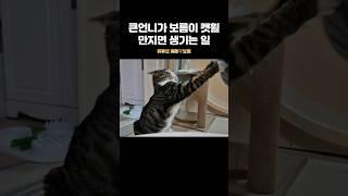 이후로 캣휠을 못 만지게 되었습니다