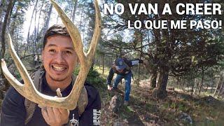 Me Fui A Buscando Cuerno De Venado, Y Me Salío Un Puma!