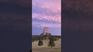 Tree? Or rock formation?  #wyoming