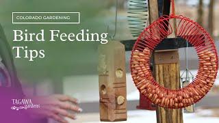 Bird Feeding Tips for Colorado by Tagawa Gardens