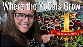 Where the YoCals Grow One Year Anniversary/Planting Early Spring Flower Seeds/VLOG