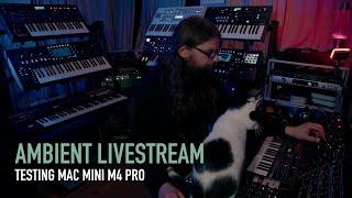 Spontaneous Ambient Production session (testing Mac Mini M4 Pro)