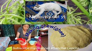 Making ghee/Ghew//My Cat Whitey  is upset.Sikkim mom's blog.