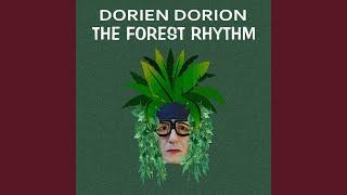 The Forest Rhythm