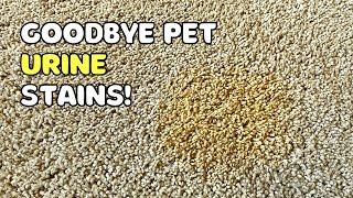 How to Remove Set-In Urine Stains From Carpet (Dog or Cat)