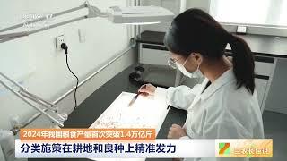 [三农长短说]2024年我国粮食产量首次突破1.4万亿斤 探寻大国粮仓背后的增产密码 | 农业致富经 Agriculture And Farming