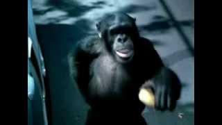 Trunk Monkey Police Officer Cop Bribe Commercial Very Funny TV Ads from Suburban Auto Group 2003