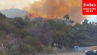 Driver's Video Captures Of Extensive Flames From LA Wildfires Traveling Towards Sunset Boulevard