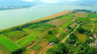 硯洲島(遙望香港城)