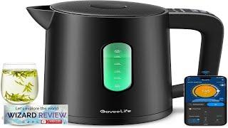 GoveeLife Smart Electric Kettle Temperature Control 1.7L WiFi Electric Tea Kettle Review