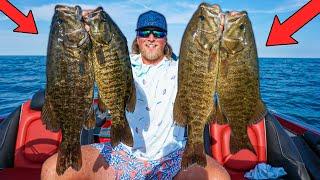 Lake St Clair LATE Summer Smallmouth Bass Fishing - Fishing Report