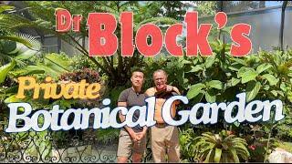 Dr BLOCK’s Plant Collection, Advanced Care Tips, and Botanical Philosophy