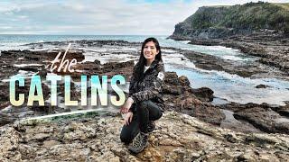 THE CATLINS, New Zealand | Petrified Forest (Curio Bay), Slope Point + Nugget Point