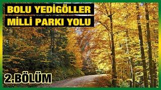 Yedigöller Milli Parkı yolu | Bolu Düzce | 2.  Bölüm | Yeryüzündeki Saklı Cennet | #yedigöller