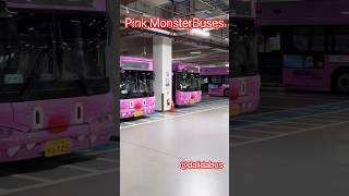 Monster Bus Buses !️ #해치버스  #tayobus  #서울버스