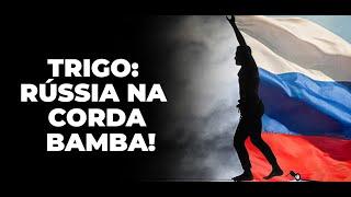 TRIGO: RÚSSIA NA CORDA BAMBA!