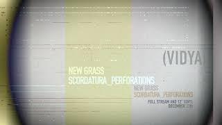 NEW GRASS - Vidya