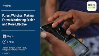 Forest Watcher: Making Forest Monitoring Easier and More Effective (English)