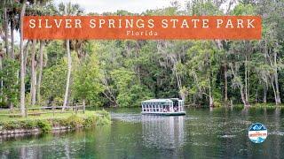 How to Spend Your Day at Silver Springs State Park | Florida