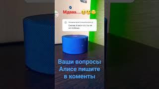 станция Алиса|пранк|приколы 2023#shorts