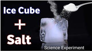 Easy Science Experiment in Home | ice Science Trick | Ice Cube + Salt Trick | #shorts