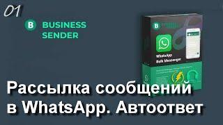 МАССОВАЯ РАССЫЛКА СООБЩЕНИЙ В ВАТСАП - BUSINESS SENDER ВВЕДЕНИЕ