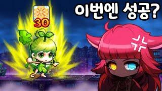 이번엔 성공?! (모험가, 전사, 개구릿대)