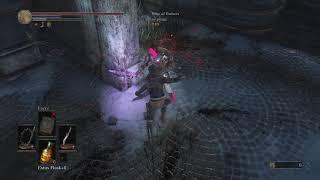 Kageshi the shadow of death: bleed invasion DS3