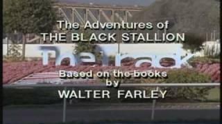 Adventures Of The Black Stallion S1E13 Part 1.wmv