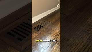 STOP REFINISHING your own floors️ #flooringexperts #contractor #viral #construction #woodworking