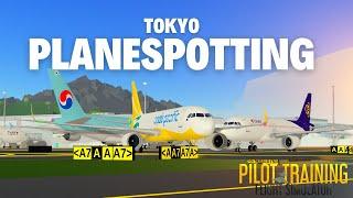 Planespotting at Tokyo ️ (Realistic)