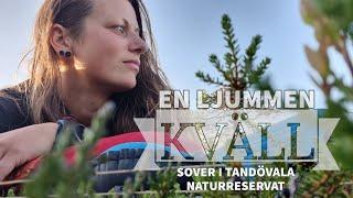 EN LJUMMEN KVÄLL | Sover i Tandövala Naturreservat | Lagar smashed Taco | Visar mina barfotakängor