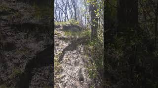 You Don't Even See This Side Trail Until Your On It. #walking #outdoors #creek #woods #prairie