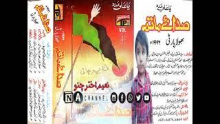 NOHA TABOOT HASSAN AS KA HAI BY BHOLA PARTY VOL 9-1996