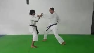 Naihanchi sandan bunkai shorin Ryu shinshukan