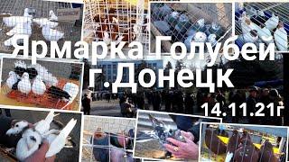 Ярмарка голубей в Донецке (14.11.21).Голуби Донецка.