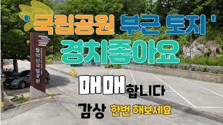 5. 문경시 동로면 생달리 월악산 자락 토지 #캠핑 #문경토지 #월악산 #토지