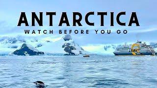  Antarctica Cruise: What to Pack and Essential Info to Know