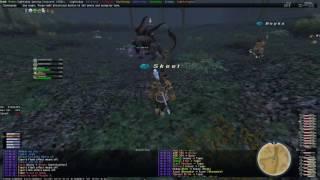 FFXI with Era - Tyger #3