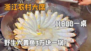 随200去浙江温岭搂席11800一桌，6斤的帝王蟹，2斤的大鲍鱼，野生大黄鱼【我是忐忑妞】