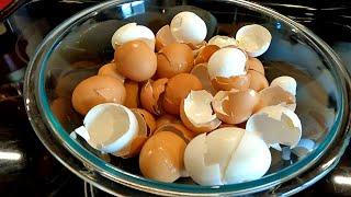 After Seeing THIS You Will NEVER Throw Another Egg Shell Away!