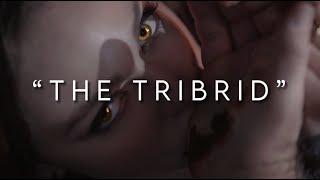 The Tribrid - Hope Mikaelson