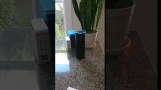 Alexa reading you your text messages demo