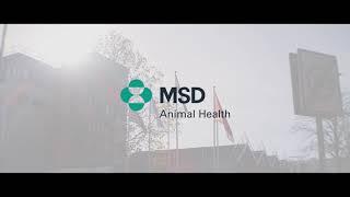 MSD Animal Health in Nederland