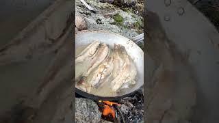 Свежачок на сковородке 