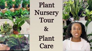 Plant Nursery Tour I Houseplant Care I JerseyWifeJerseyLife