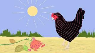 The Original Chicken And Her Egg  - 15 Apen ft. Frans van Deursen