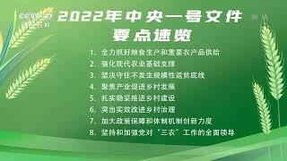 [中国三农报道]2022年中央一号文件要点速览|农业致富经 Agriculture And Farming