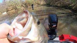 Bass Fishing Mill Creek Lake in Marshall Illinois